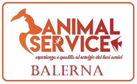 Animal Service
